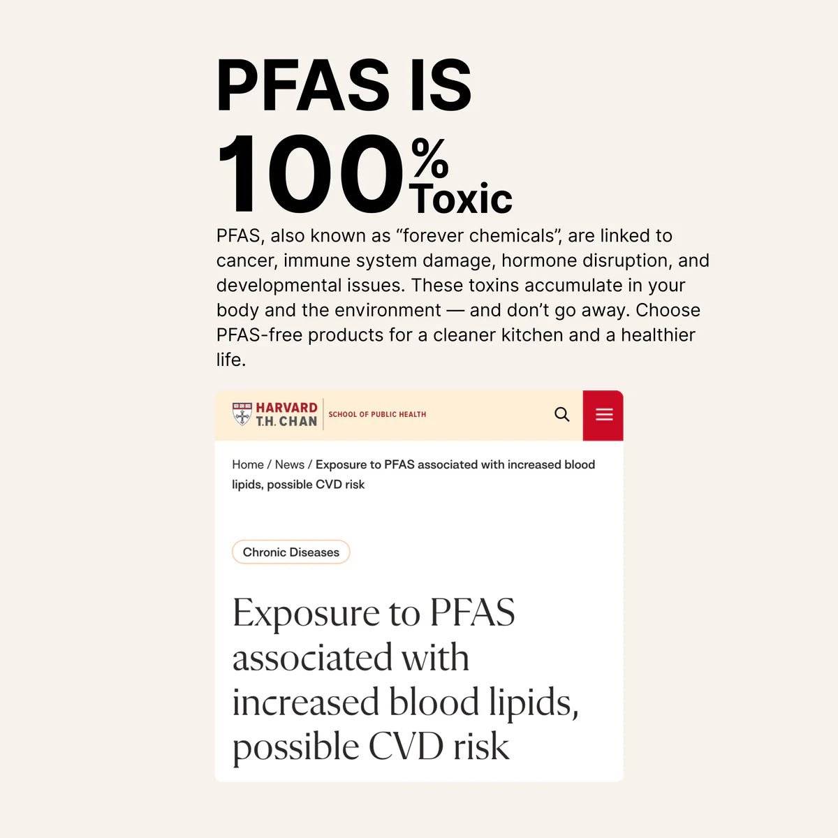 Titanium Hammered Pan Duo Set - Yūgen Series - HOMESŌKO